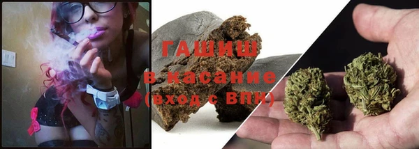 крисы Алзамай