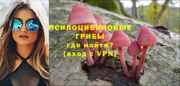 крисы Алзамай