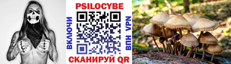 дарнет шоп  mega   Галлюциногенные грибы прущие грибы  Ишим 