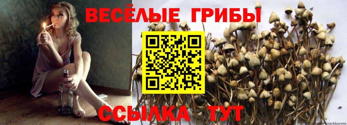 Галлюциногенные грибы ЛСД Ишим