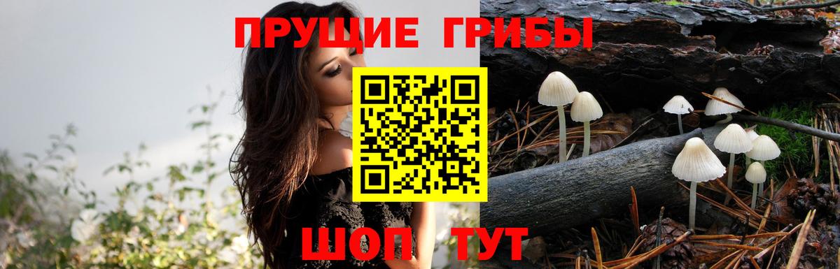 Ишим  Галлюциногенные грибы Psilocybine cubensis  Галлюциногенные грибы MAGIC MUSHROOMS  Вход с VPN 